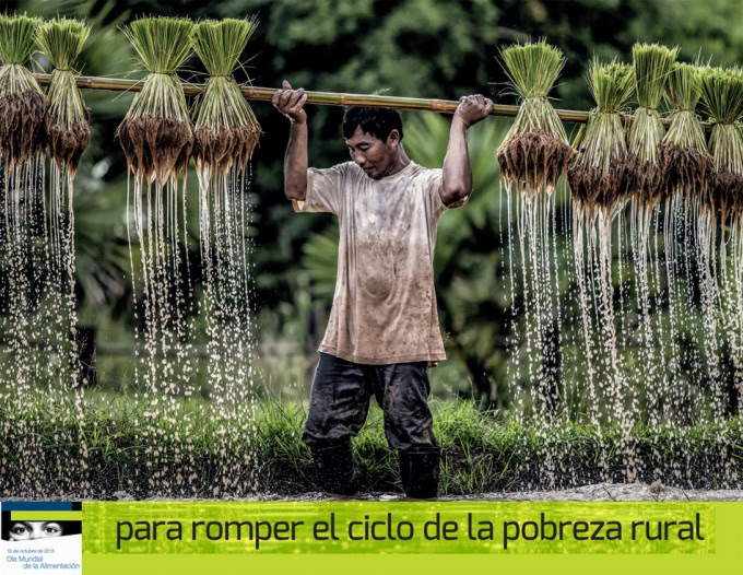 Semana Mundial de la Alimentación 2015