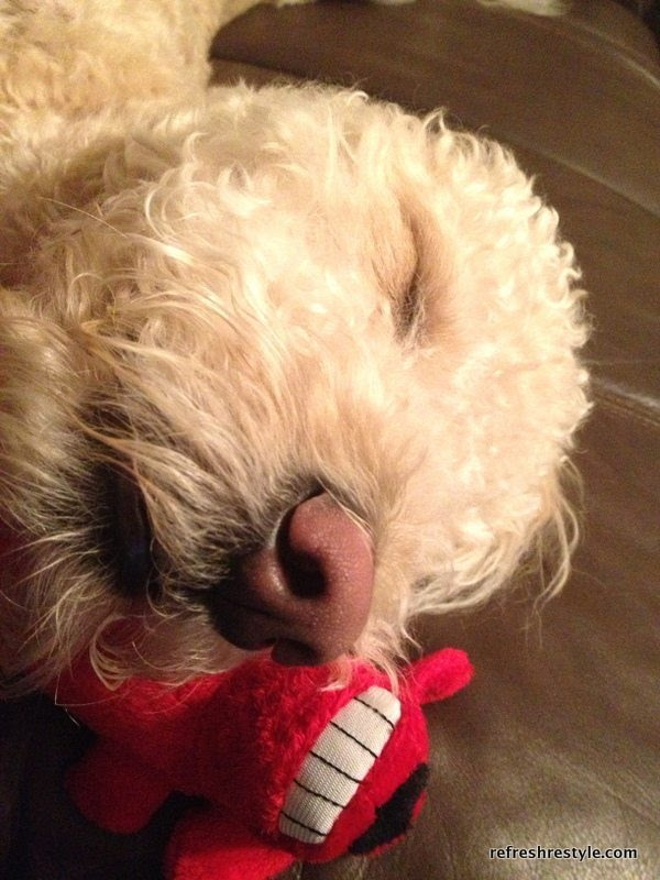 Murphy relaxed