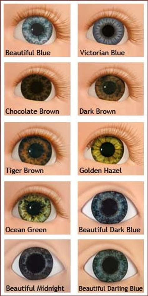  all about the human eye color chart ovo mod fashion hazel color eyes