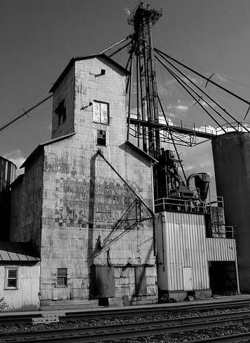 echoes of Walker Evans