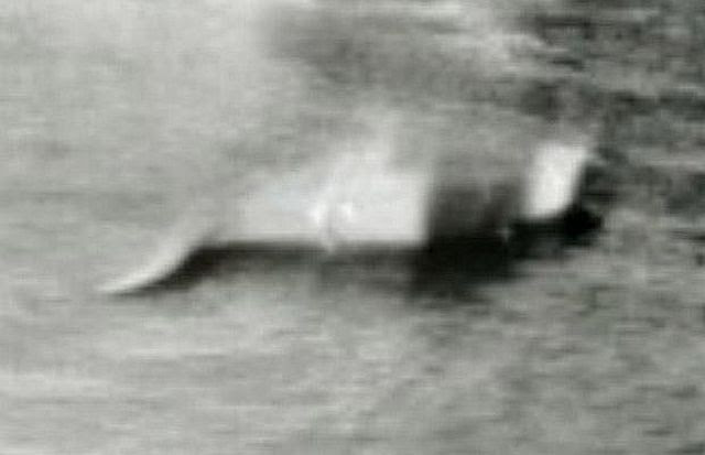 The Loch Ness Monster spotted by Google Earth? (15 pics)