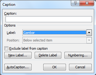 Microsoft Word Caption