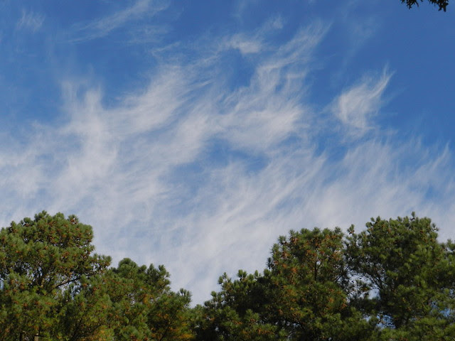 skywatchDSCN4847