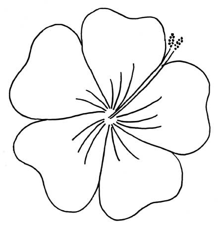 Free Free 143 Hibiscus Flower Outline Svg SVG PNG EPS DXF File