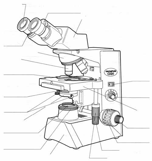Untitled Document