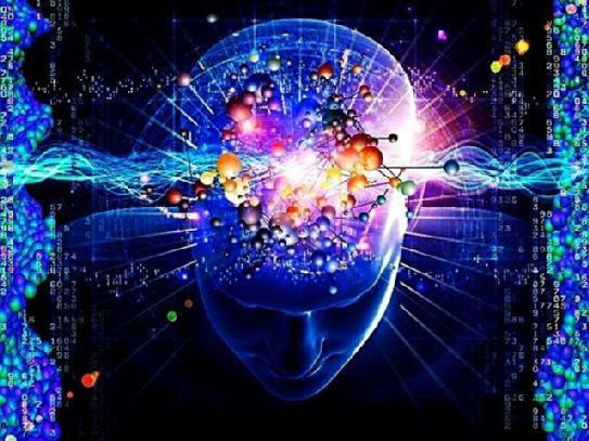 2015-02-15-brain1.jpeg