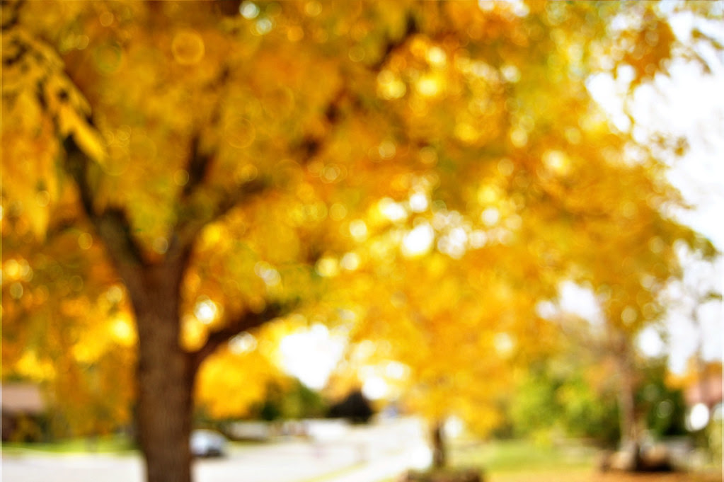 fallwalk7