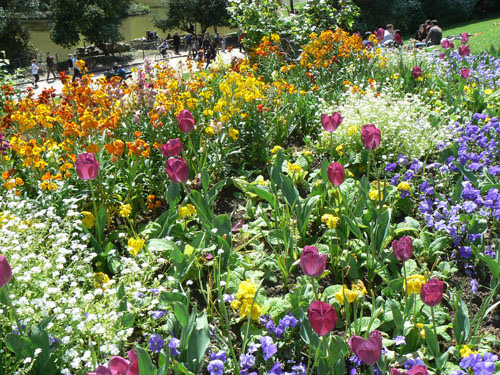 fleurs.jpg