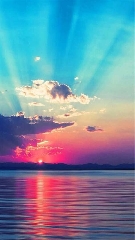 zedge  downloads   cell phone