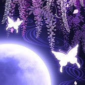 月夜ノ幻想 藤 藤 和風 幻想壁紙