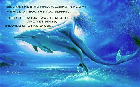 dolphin beach quotes sayings quotesgram