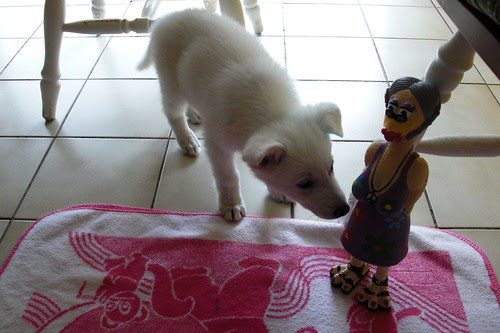 Happy with his new California Grandma Duck-2