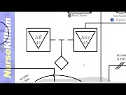 Newest Genograms In Visio Part Connections Relationships Children And Households , Design Planner!