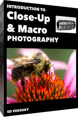 macro-cover