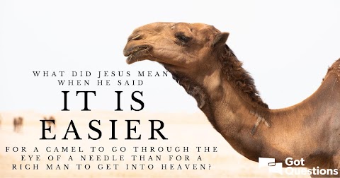 A Man Is Not A Camel Saying - A man's not a camel songs.