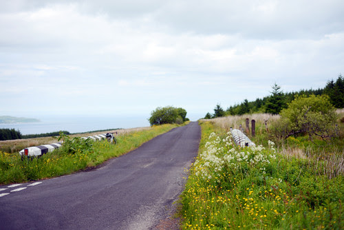 Mt Binevenagh