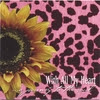 amy drinkwater: with all my heart...a journey to the soul