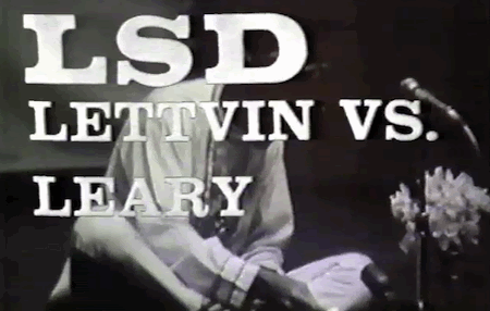 lettvin-leary