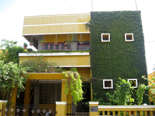 Green Wall