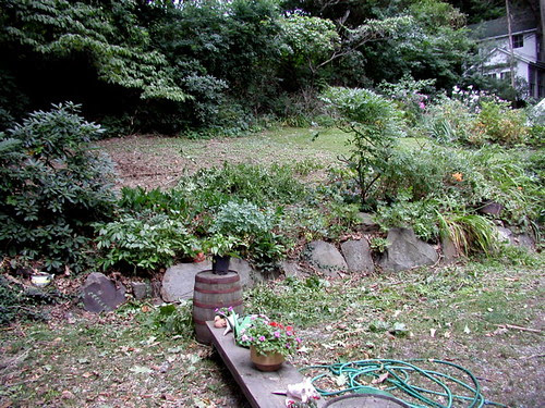 Scene of the yellowjacket attack