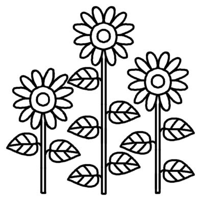 ヒマワリ 向日葵 4 夏の花 無料 白黒イラスト素材