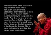 Popular Ideas 54+ Famous Quotes Of Dalai Lama