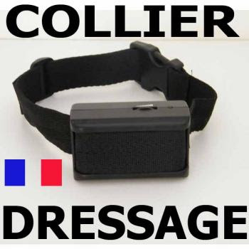 Collier anti aboiement pour chien
