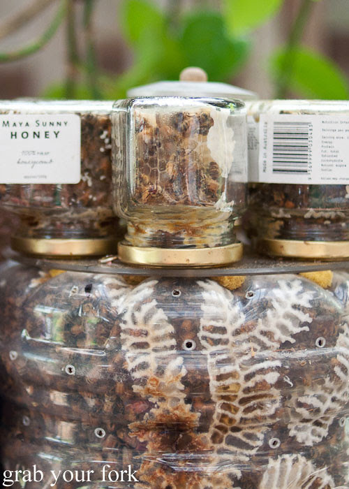 live honeycomb by maya sunny honey at the grounds of alexandria markets