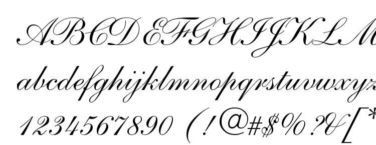 Nelson Script Font Download Free Legionfonts