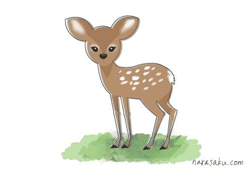 Arekayujppylb かわいい 鹿 イラスト 簡単 書き方