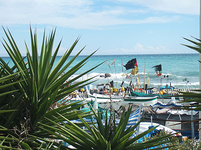 mer et palmiers.jpg