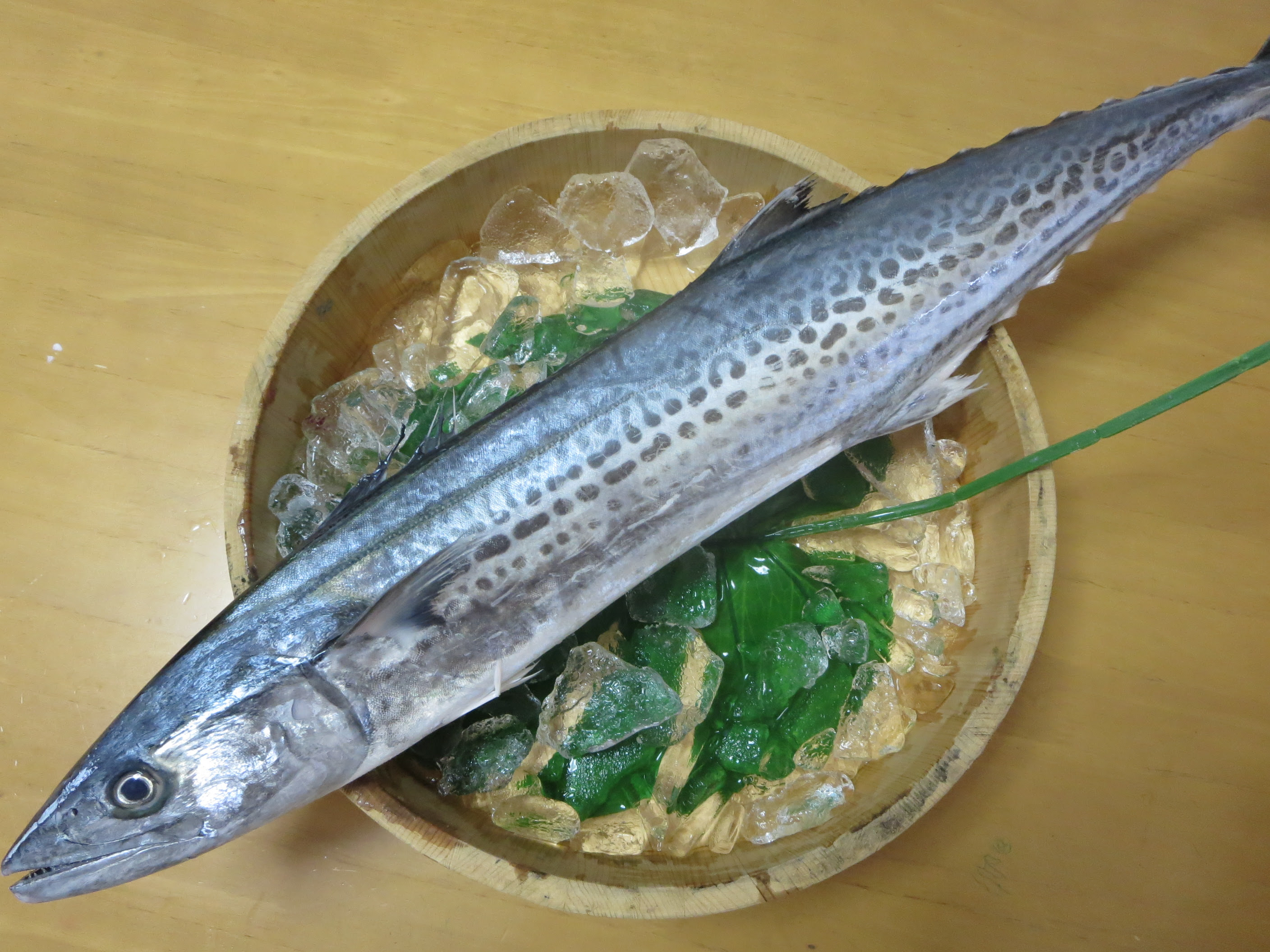 漁師さん直送市場 家庭用 鮮魚通販 漁師さんが今朝獲れた鮮魚を産地直送