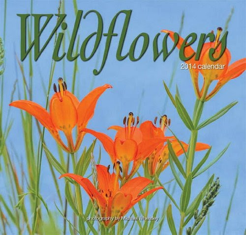 Wildflowers 2014 Calendar