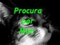 Procura por mim