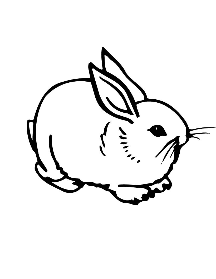 Cute bunny rabbit coloring page