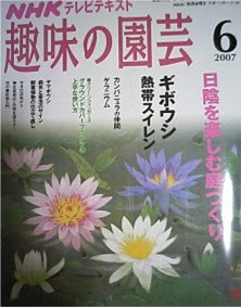 熱帯睡蓮 ムカゴ栽培と越冬