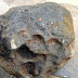 Meteorites - Meteorites / Lunars / Pallasites & a Ex museum piece - CN ... / Meteorite falls are often (but not always) linear features, with the long axis often aligned in the falling meteorites then appear at or near the site identified by eyewitnesses or the other sources named.