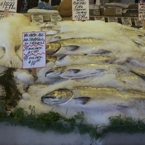 fish