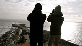 Bird observatories