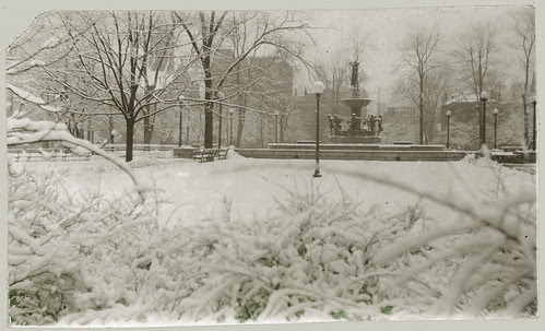 Park in the city with snow