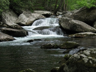 Smokies Invites the Public to #OptOutside after Thanksgiving Day