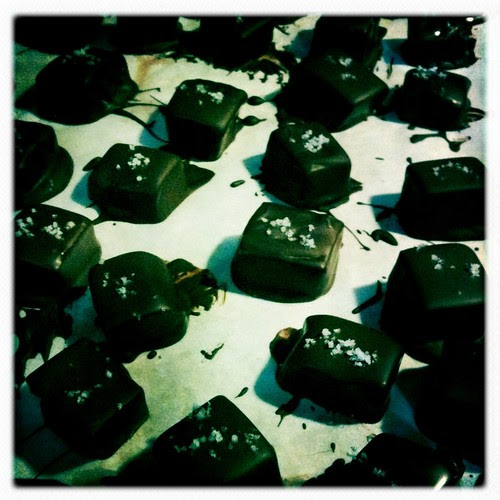 Salted Caramels Covered in Chocolate
