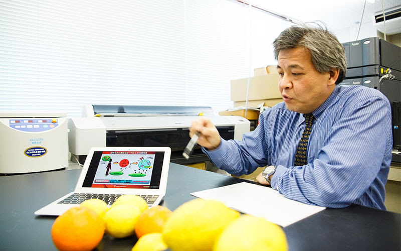 おいしいのヒミツ ミカンの皮の隠れたパワー 愛媛大学 菅原卓也教授 春食べたくなる柑橘 のヒミツ2