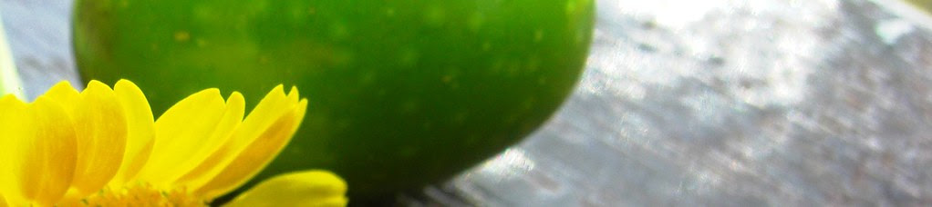 header-photo