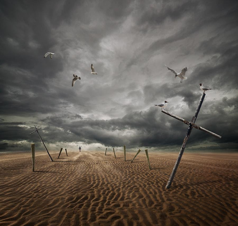 photography gallery, artfreelance 
