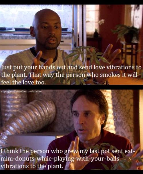 weeds season 1 episode 1. Weeds season 2, episode 8: