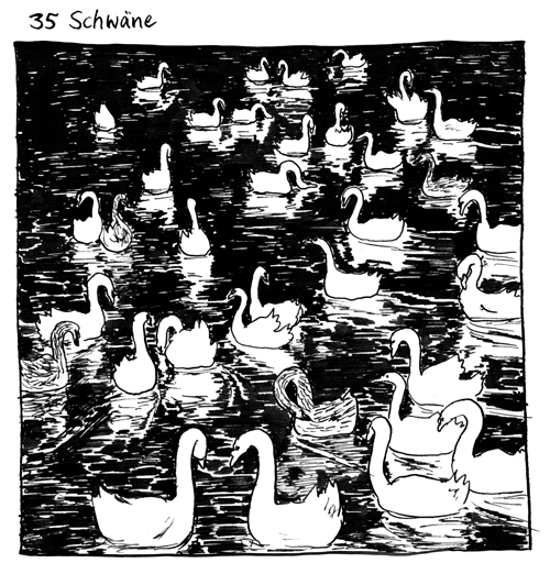 35 Schwäne
