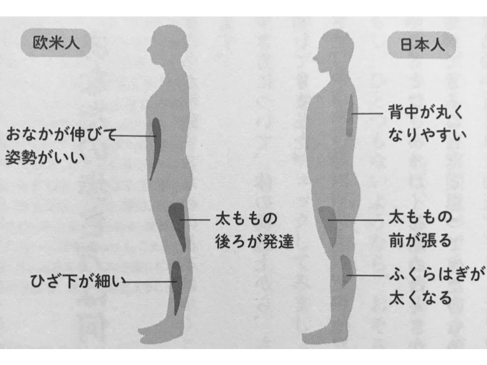 日本人の骨格 伊勢リハ ブログ 学校法人協栄学園