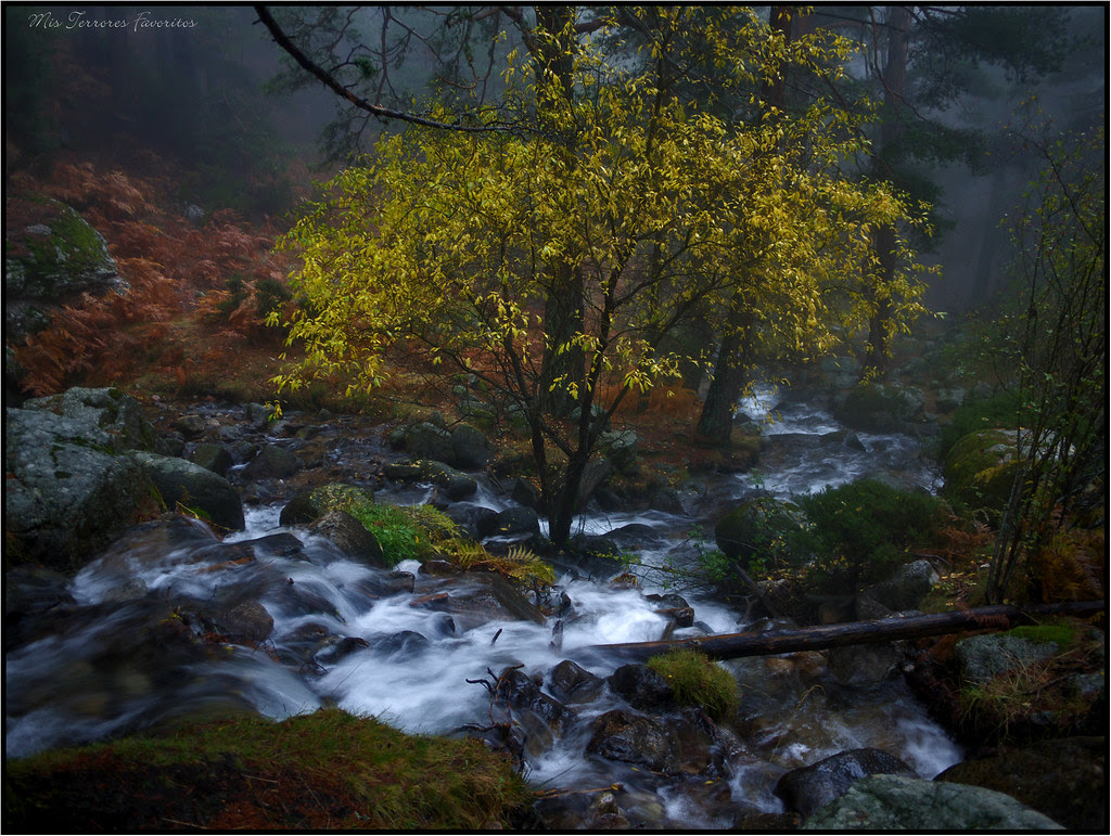 AGUAS SERRANAS