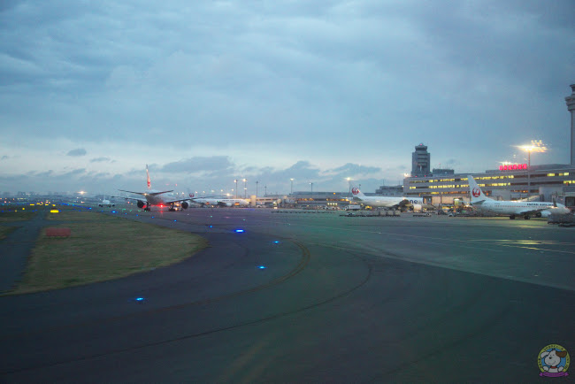 223A0716.jpg